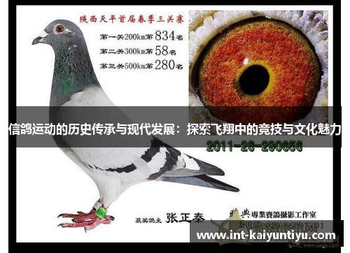 信鸽运动的历史传承与现代发展:探索飞翔中的竞技与文化魅力
