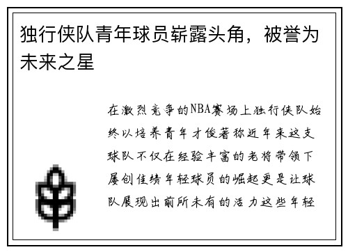 独行侠队青年球员崭露头角，被誉为未来之星